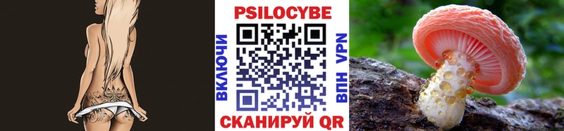 Псилоцибиновые грибы мицелий  Кудрово 
